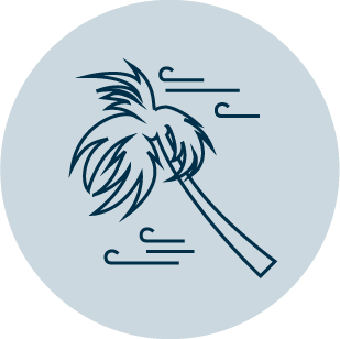 Asset 12